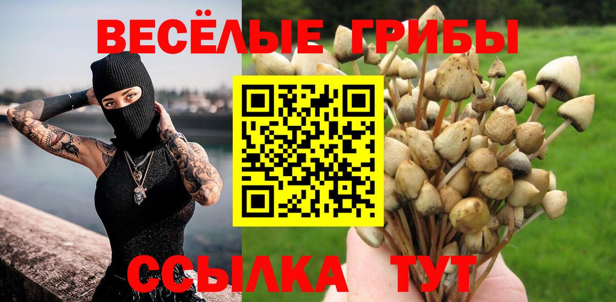 где найти   Галлюциногенные грибы Psilocybine cubensis  Вход с VPN  Галлюциногенные грибы Magic Shrooms  Дальнереченск 