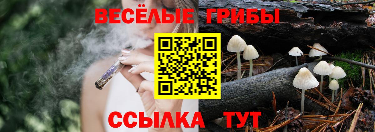 Дальнереченск  Псилоцибиновые грибы мицелий  Галлюциногенные грибы Psilocybine cubensis  Вход с VPN 