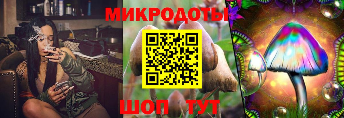 Псилоцибиновые грибы мухоморы Дальнереченск